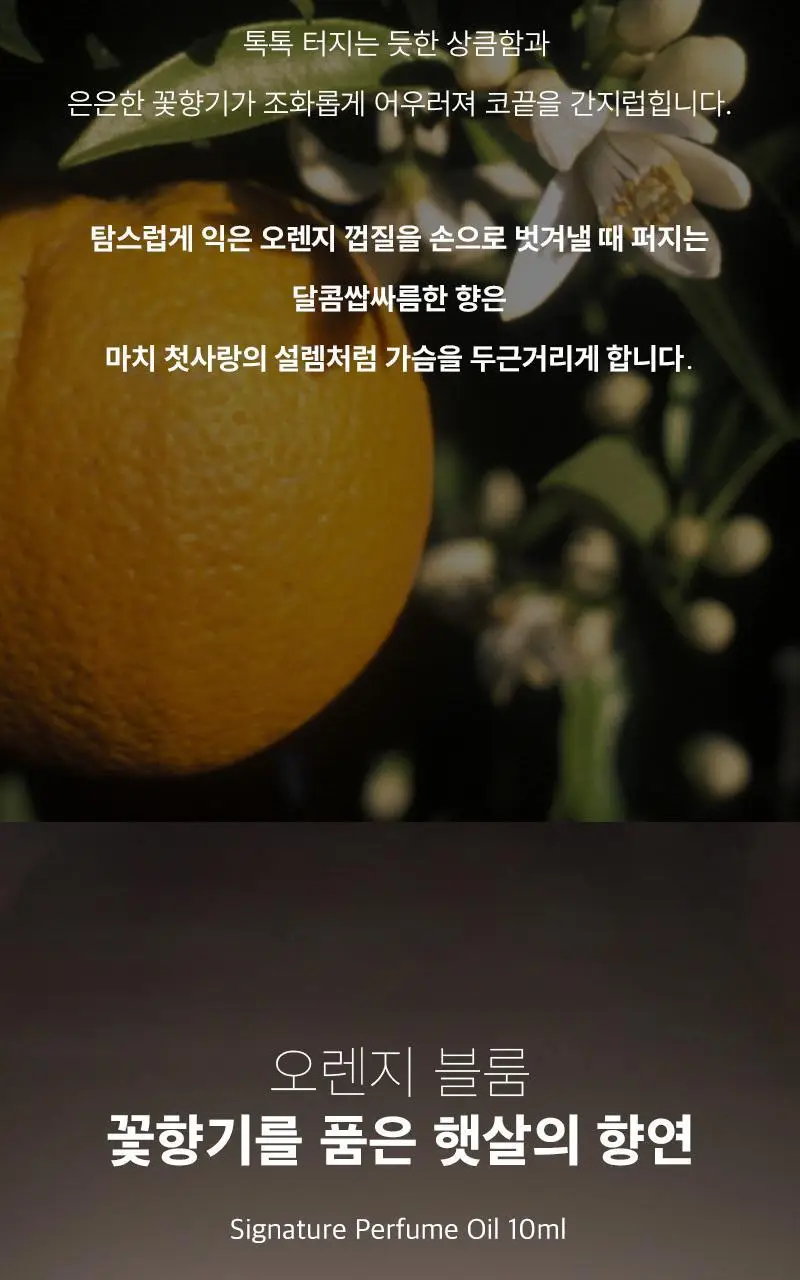 [롤온향수] 탄 시그니처 퍼퓸 오일 10ml 상세페이지 3